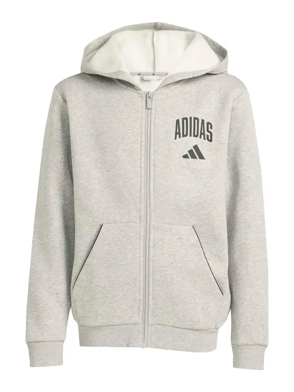 ADIDAS SPORTSWEAR ADIDAS SPORTSWEAR Športna jopa na zadrgo 'CLGT'  pegasto siva / črna