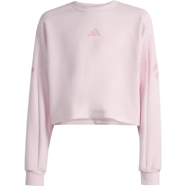 ADIDAS SPORTSWEAR ADIDAS SPORTSWEAR Športna majica  staro roza