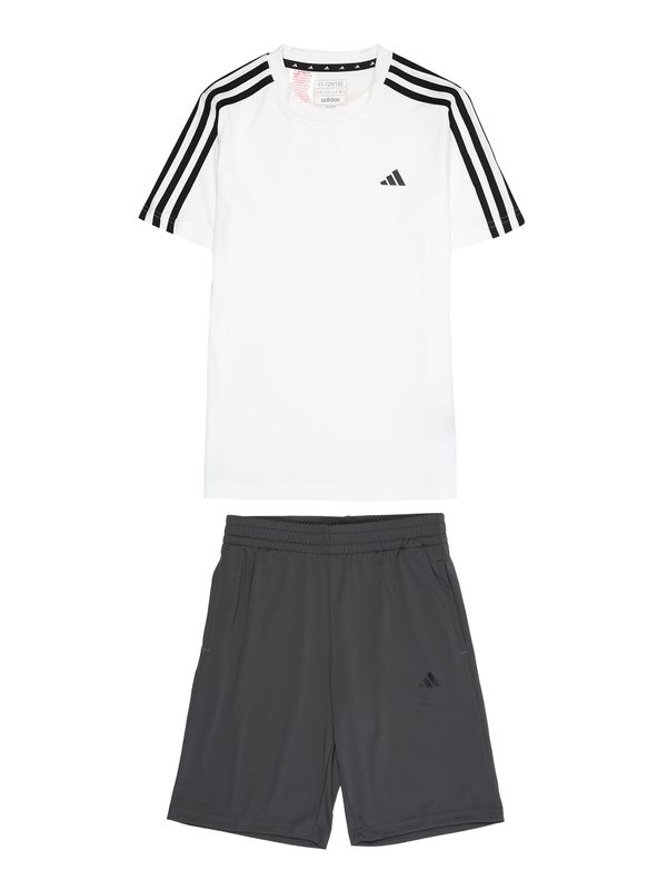 ADIDAS SPORTSWEAR ADIDAS SPORTSWEAR Športna trenirka 'Train Essentials Aeroready 3-Stripes -Fit '  črna / bela