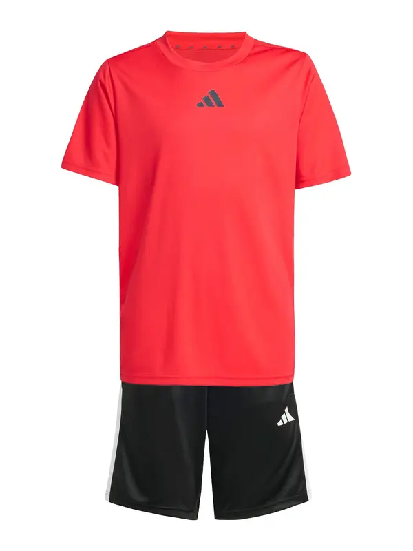 ADIDAS SPORTSWEAR ADIDAS SPORTSWEAR Športna trenirka 'Train Essentials'  rdeča / črna / bela