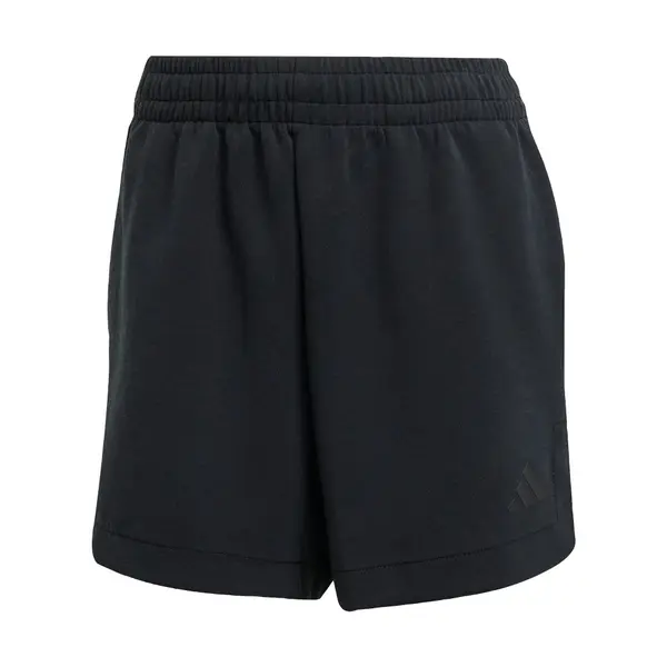 ADIDAS SPORTSWEAR ADIDAS SPORTSWEAR Športne hlače 'All Szn'  črna