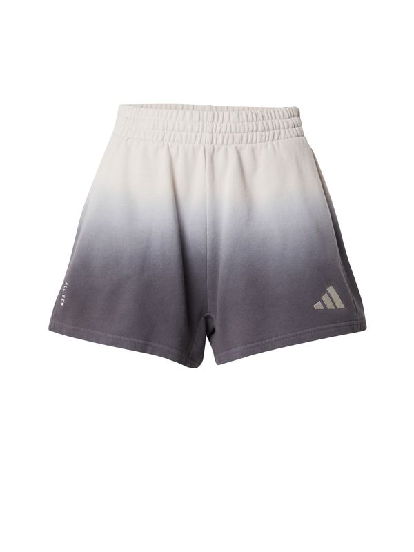 ADIDAS SPORTSWEAR ADIDAS SPORTSWEAR Športne hlače  bazaltno siva / bela