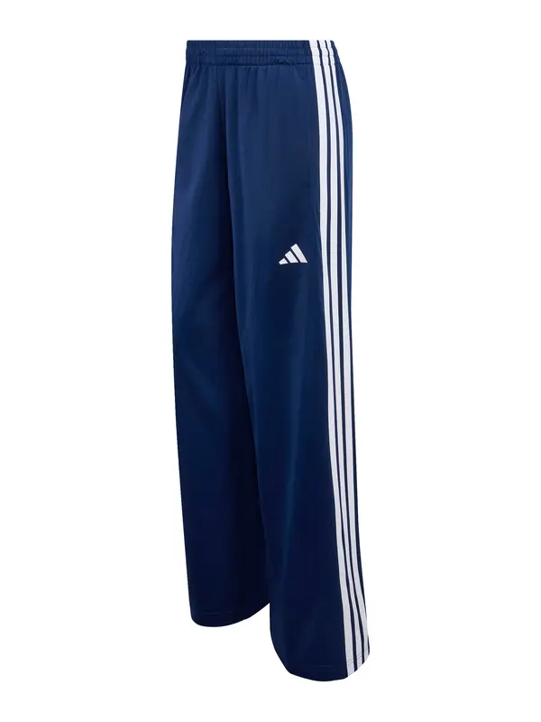 ADIDAS SPORTSWEAR ADIDAS SPORTSWEAR Športne hlače 'DAYREADY'  temno modra / bela