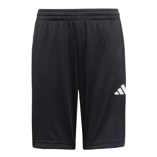 ADIDAS SPORTSWEAR ADIDAS SPORTSWEAR Športne hlače 'Essentials'  črna / bela