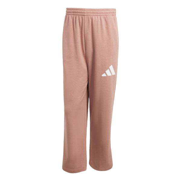 ADIDAS SPORTSWEAR ADIDAS SPORTSWEAR Športne hlače 'Essentials'  temno siva / bela