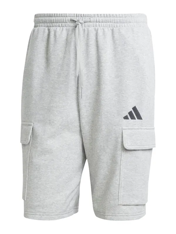 ADIDAS SPORTSWEAR ADIDAS SPORTSWEAR Športne hlače 'FELCZY'  svetlo siva