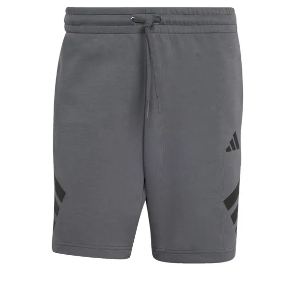ADIDAS SPORTSWEAR ADIDAS SPORTSWEAR Športne hlače 'Future Icons'  siva / črna