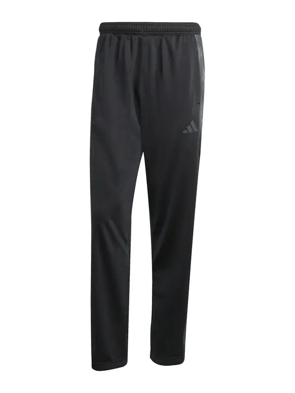 ADIDAS SPORTSWEAR ADIDAS SPORTSWEAR Športne hlače  grafit / črna