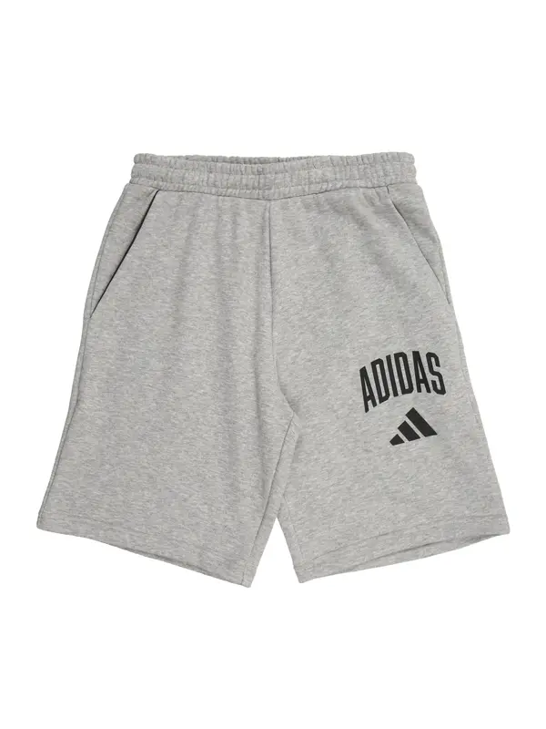 ADIDAS SPORTSWEAR ADIDAS SPORTSWEAR Športne hlače 'Seasonals Collegiate'  pegasto siva / črna