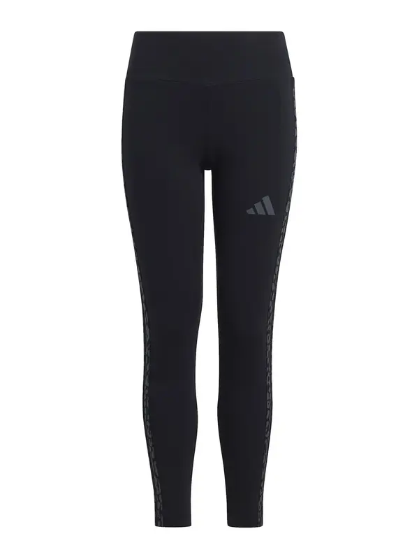 ADIDAS SPORTSWEAR ADIDAS SPORTSWEAR Športne hlače  temno siva / črna