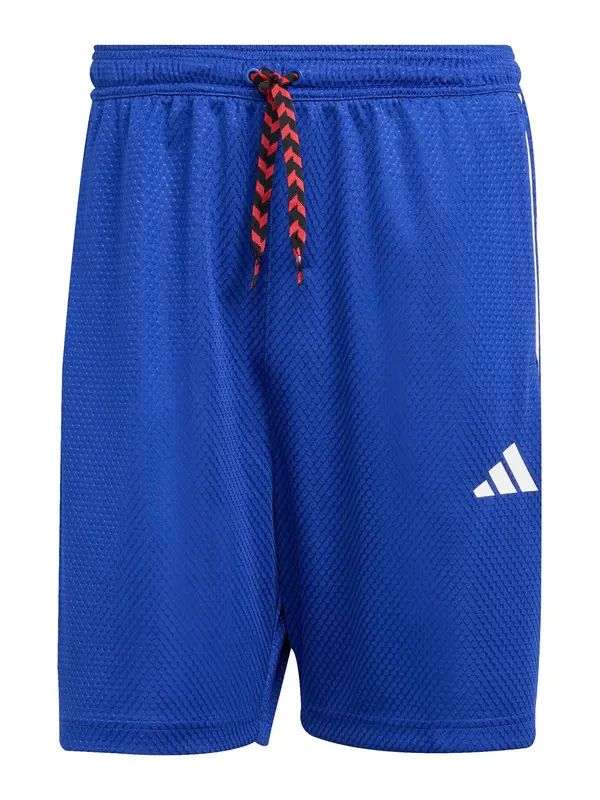ADIDAS SPORTSWEAR ADIDAS SPORTSWEAR Športne hlače 'TIRO'  modra / rdeča / bela