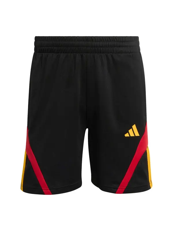 ADIDAS SPORTSWEAR ADIDAS SPORTSWEAR Športne hlače 'Tiro NP'  zlato-rumena / rdeča / črna