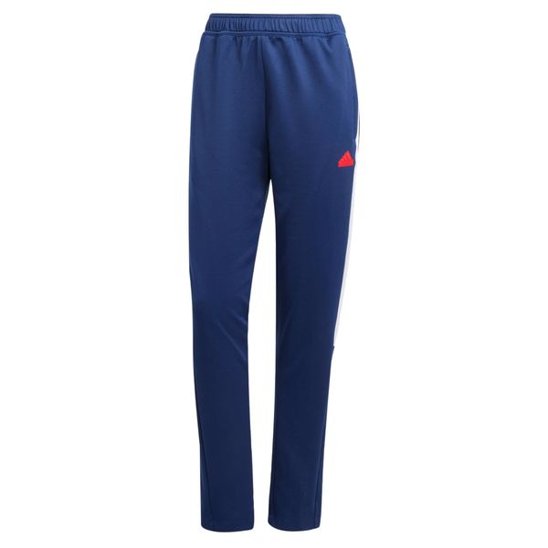 ADIDAS SPORTSWEAR ADIDAS SPORTSWEAR Športne hlače 'Tiro'  temno modra / rdeča / bela