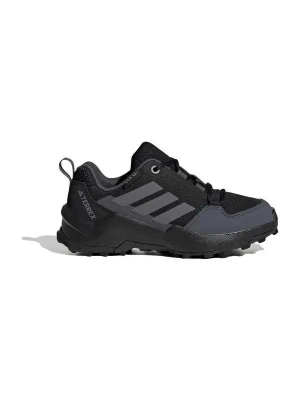 ADIDAS TERREX ADIDAS TERREX Nizki čevelj 'AX4R'  antracit / črna
