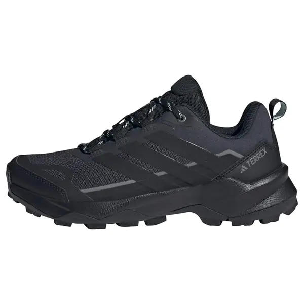 ADIDAS TERREX ADIDAS TERREX Nizki čevelj 'Skychaser Ax5'  črna