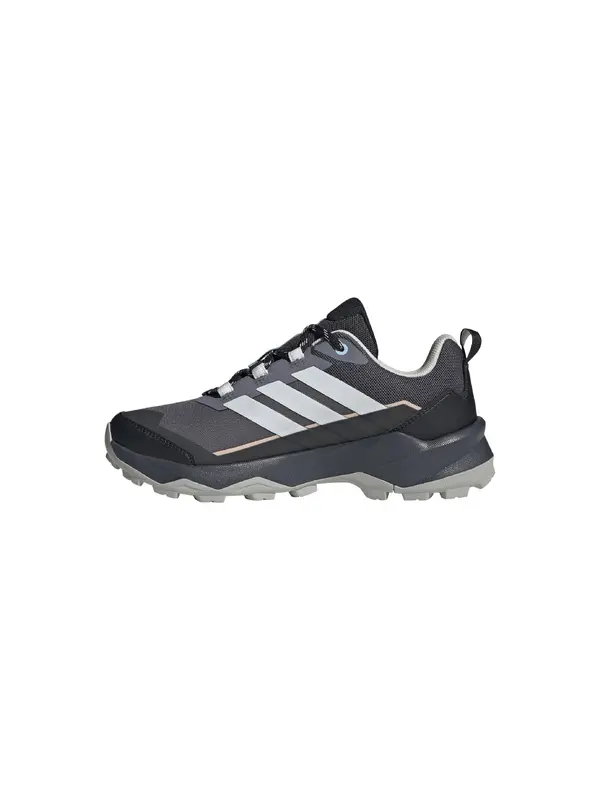 ADIDAS TERREX ADIDAS TERREX Nizki čevelj 'Skychaser AX5'  svetlo siva / temno siva