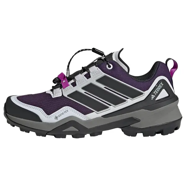 ADIDAS TERREX ADIDAS TERREX Nizki čevelj 'Skychaser'  svetlo siva / temno liila / črna