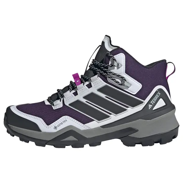 ADIDAS TERREX ADIDAS TERREX Škornji 'Skychaser'  antracit / svetlo siva / jajčevec / orhideja