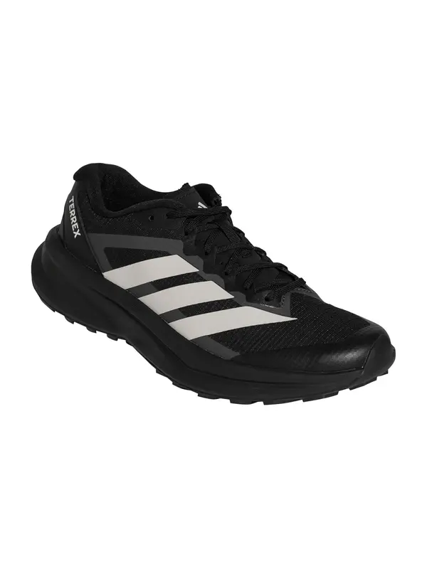 ADIDAS TERREX ADIDAS TERREX Tekaški čevelj  antracit / svetlo siva / črna