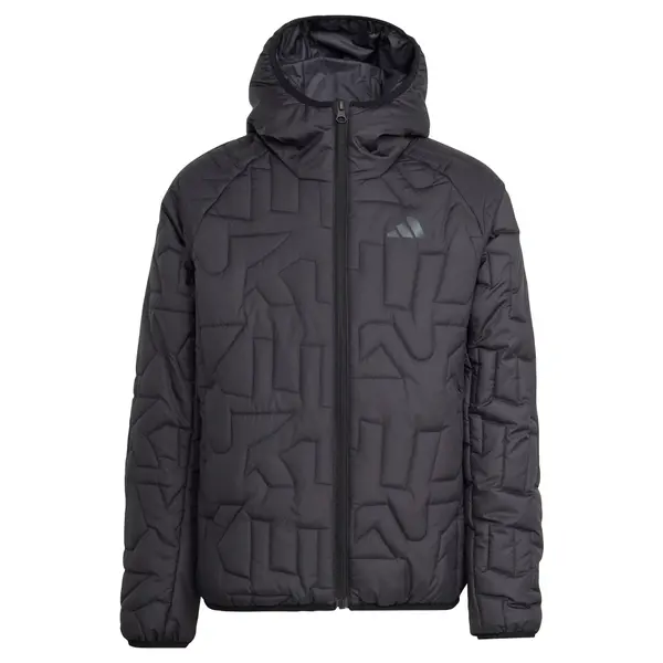 ADIDAS TERREX ADIDAS TERREX Zunanja jakna 'Xperior'  siva / črna