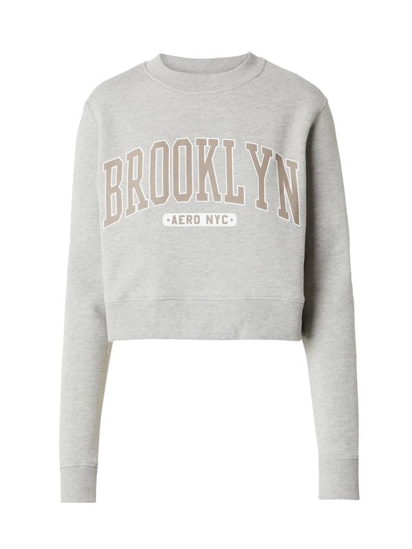 AÉROPOSTALE AÉROPOSTALE Majica 'BROOKLYN'  mokka / siva / bela