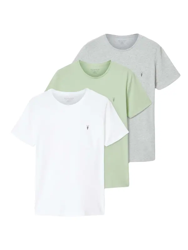 AllSaints AllSaints Majica 'TONIC'  svetlo siva / pastelno zelena / bela