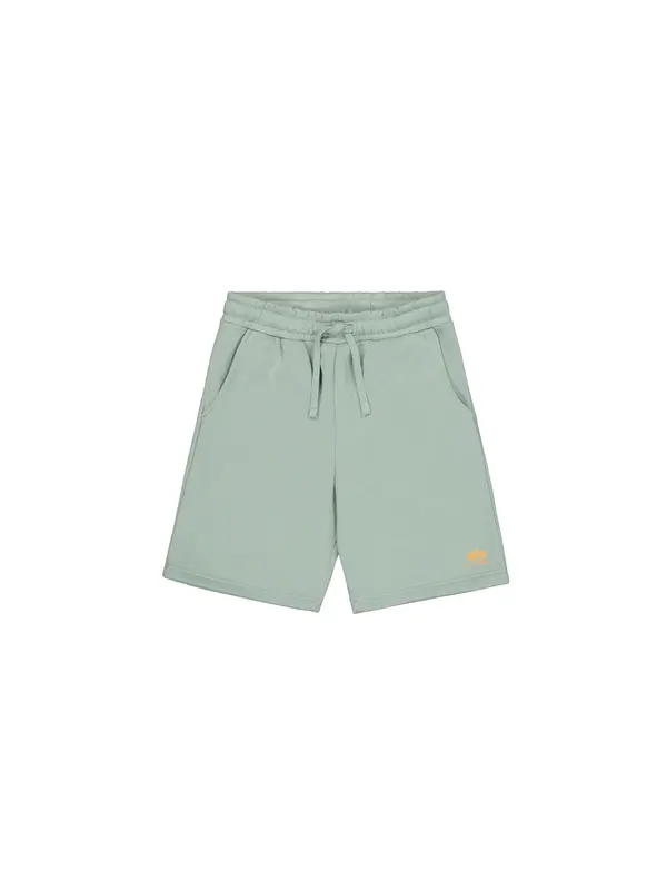 ALPHA INDUSTRIES ALPHA INDUSTRIES Hlače  pastelno zelena
