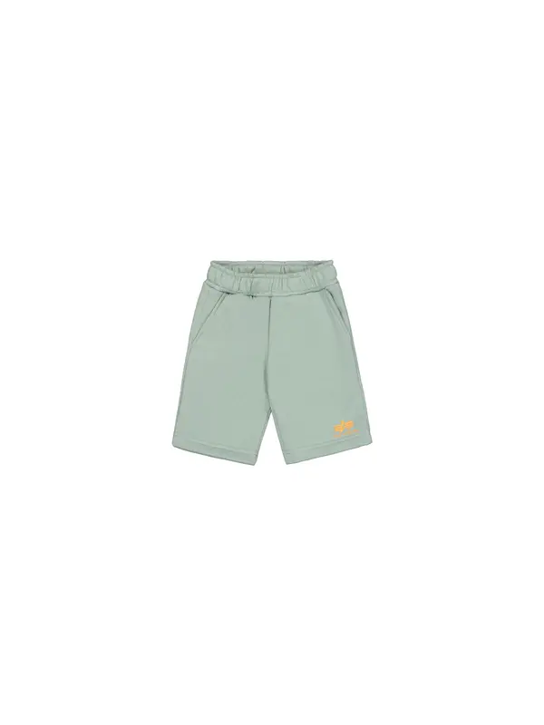 ALPHA INDUSTRIES ALPHA INDUSTRIES Hlače  pastelno zelena / oranžna