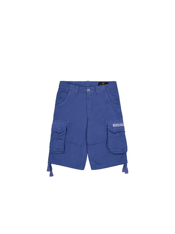 ALPHA INDUSTRIES ALPHA INDUSTRIES Hlače  temno modra