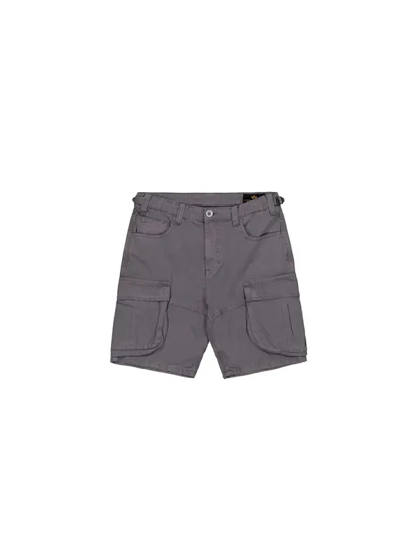ALPHA INDUSTRIES ALPHA INDUSTRIES Hlače  temno siva