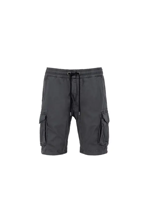 ALPHA INDUSTRIES ALPHA INDUSTRIES Kargo hlače  grafit