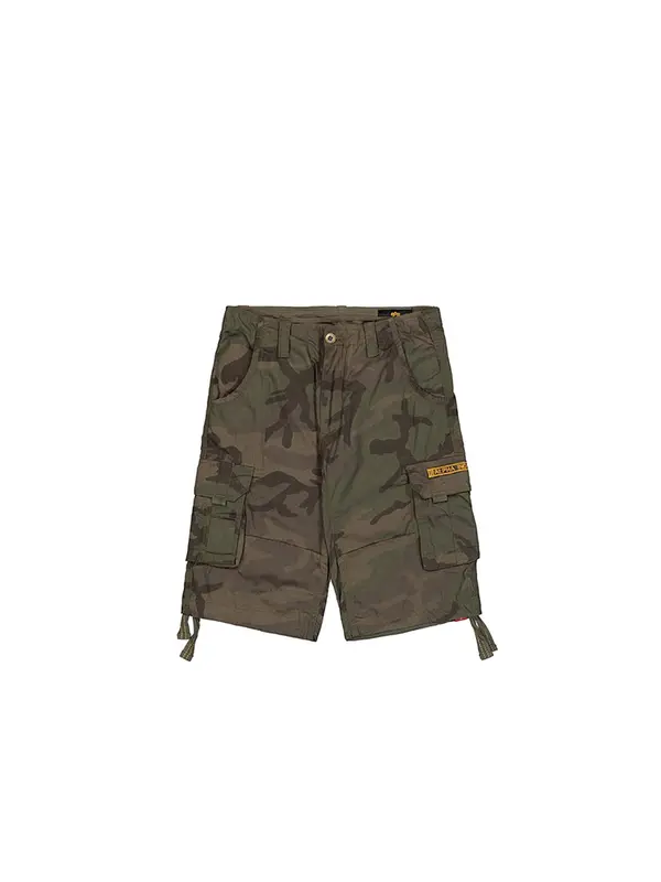 ALPHA INDUSTRIES ALPHA INDUSTRIES Kargo hlače 'Jet'  zelena