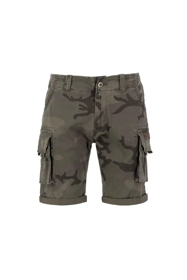 ALPHA INDUSTRIES ALPHA INDUSTRIES Kargo hlače  siva / oliva