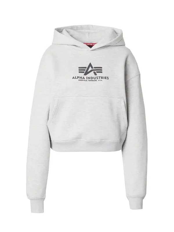 ALPHA INDUSTRIES ALPHA INDUSTRIES Majica  antracit / svetlo siva