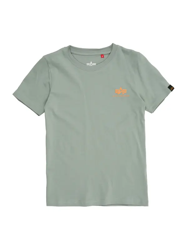 ALPHA INDUSTRIES ALPHA INDUSTRIES Majica  pastelno zelena / oranžna