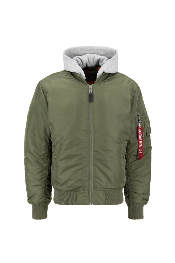 ALPHA INDUSTRIES ALPHA INDUSTRIES Zimska jakna  siva / zelena / mešane barve