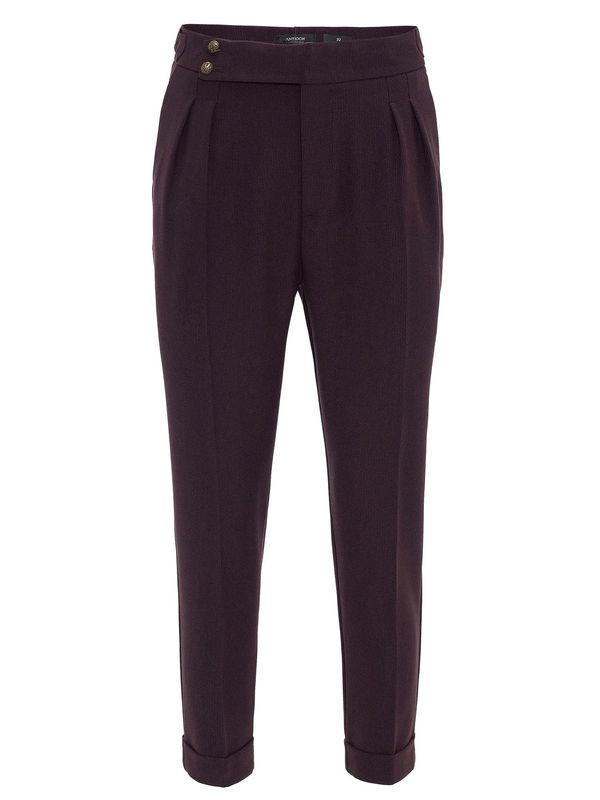 Antioch Antioch Hlače z naborki  rjava