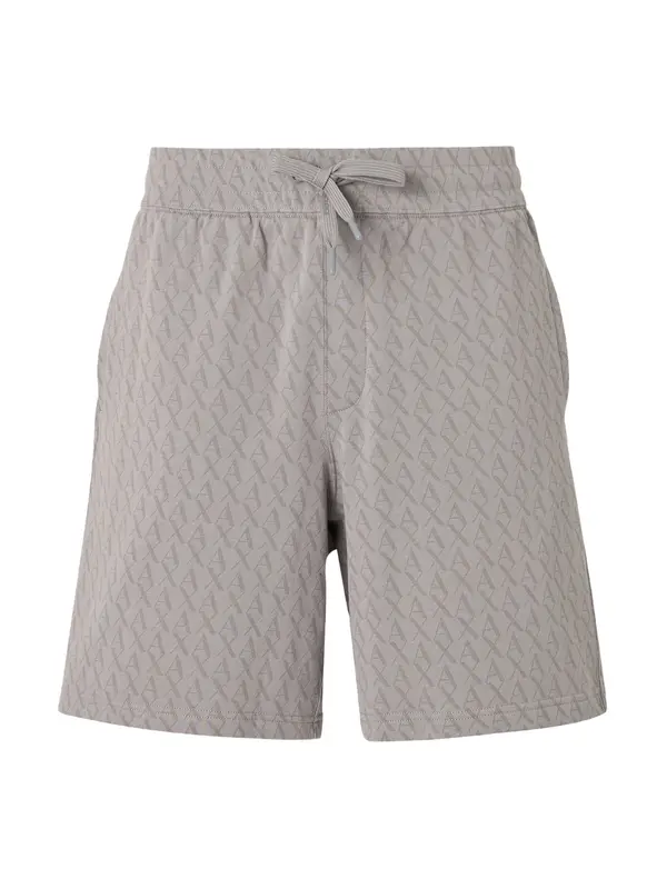 ARMANI EXCHANGE ARMANI EXCHANGE Hlače  siva