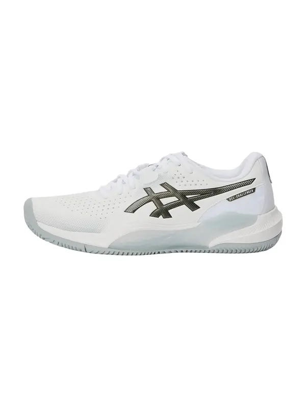 ASICS ASICS Športni čevelj 'GEL-CHALLENGER 15 CLAY'  črna / bela