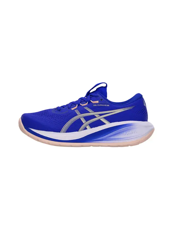 ASICS ASICS Tekaški čevelj 'GEL-CUMULUS 28'  ultra mornarsko modra / temno siva / off-bela