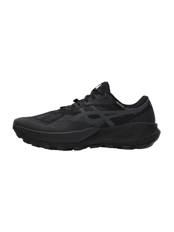 ASICS ASICS Tekaški čevelj 'TRABUCO 14'  siva / črna
