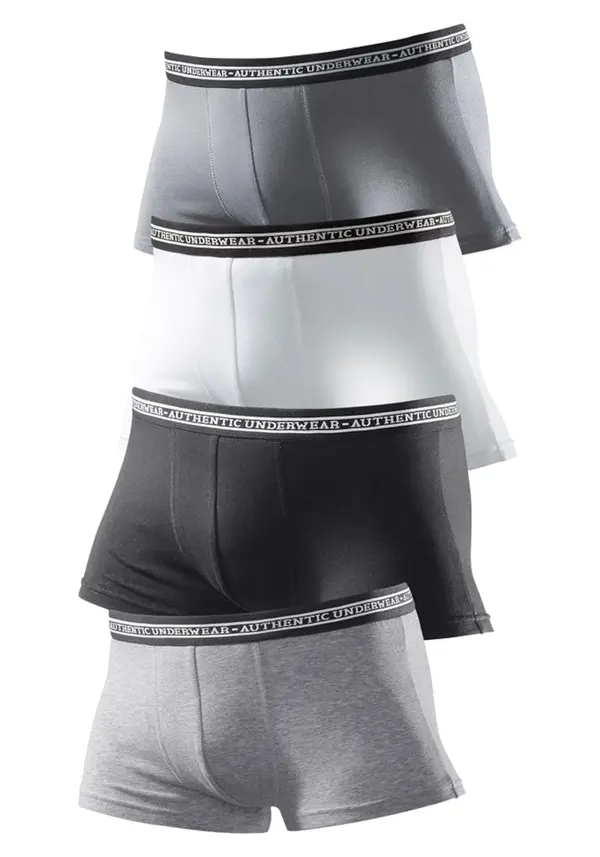 AUTHENTIC UNDERWEAR AUTHENTIC UNDERWEAR Boksarice  svetlo siva / temno siva / bela