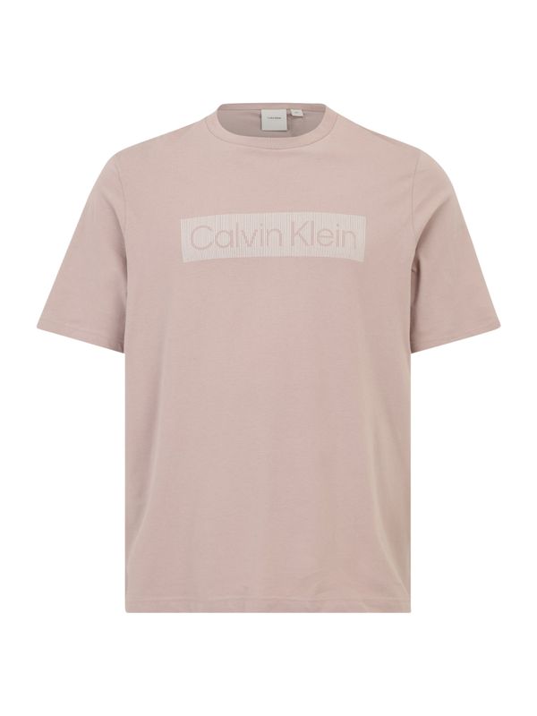 Calvin Klein Big & Tall Calvin Klein Big & Tall Majica  temno siva / bela