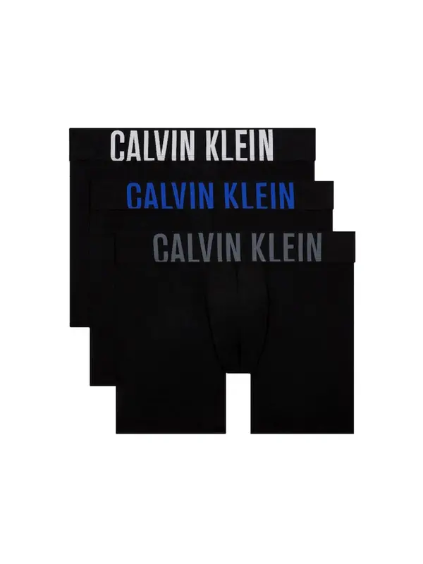 Calvin Klein Calvin Klein Boksarice  črna