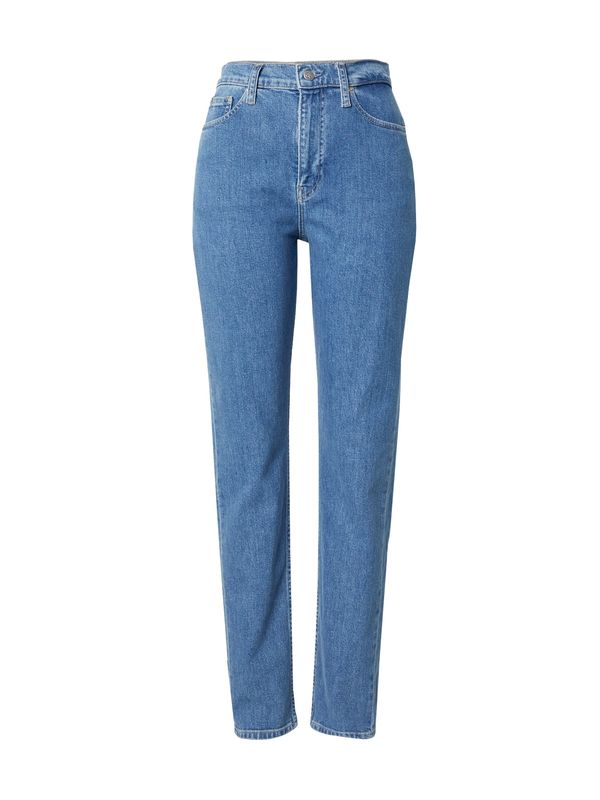 Calvin Klein Jeans Calvin Klein Jeans Kavbojke 'AUTHENTIC SLIM STRAIGHT'  moder denim