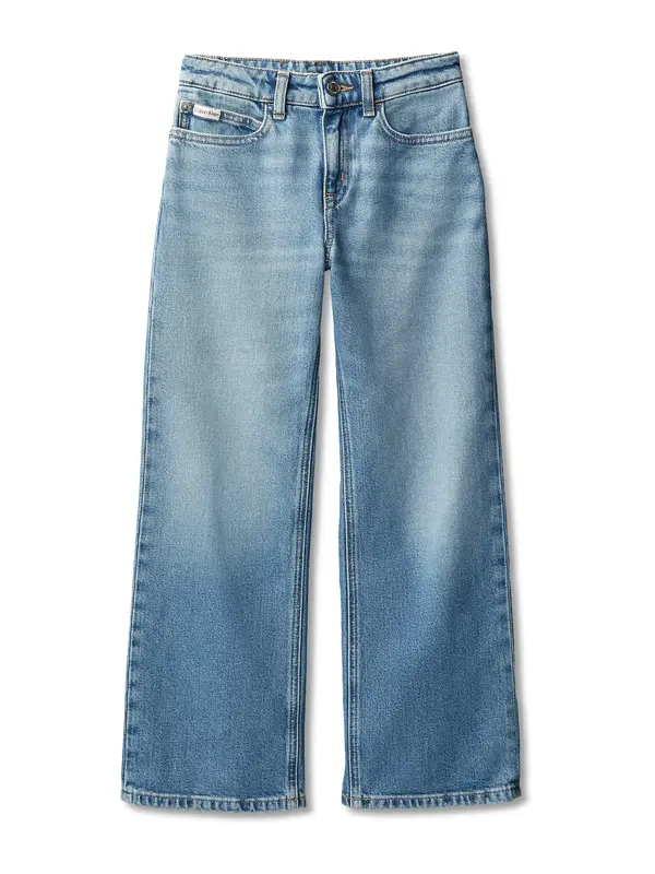 Calvin Klein Jeans Calvin Klein Jeans Kavbojke  moder denim