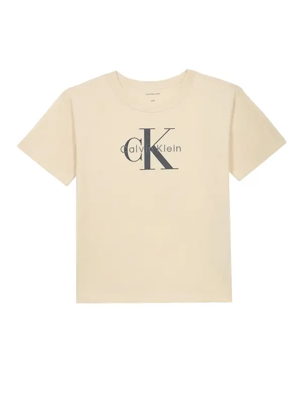 Calvin Klein Jeans Calvin Klein Jeans Majica  antracit / greige