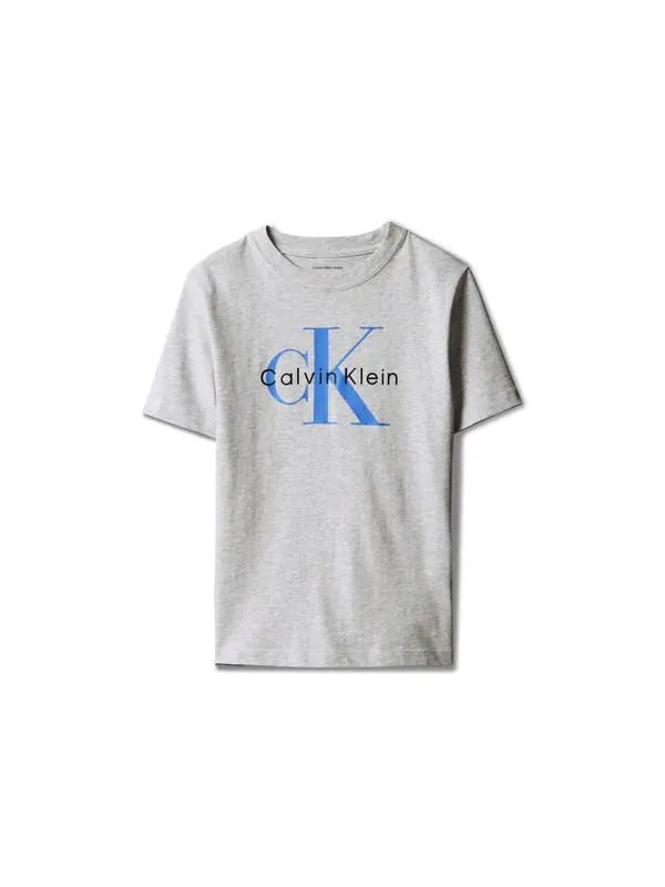 Calvin Klein Jeans Calvin Klein Jeans Majica  azur / pegasto siva / črna