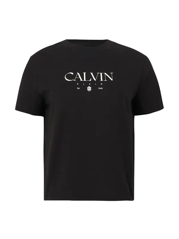 Calvin Klein Jeans Calvin Klein Jeans Majica  črna / off-bela