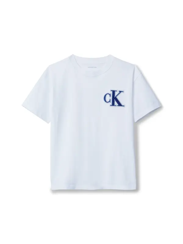 Calvin Klein Jeans Calvin Klein Jeans Majica  modra / bela